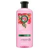 Herbal Essences Rose Hips Smooth Shampoo;  13.5 fl oz