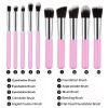 Travel Set Mini Makeup Brush Set of 10 Count (Pink Silver)